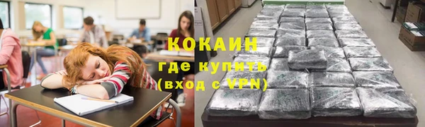 шишки Балабаново