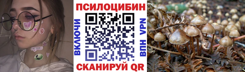 кракен зеркало  Кодинск  Галлюциногенные грибы Psilocybe 